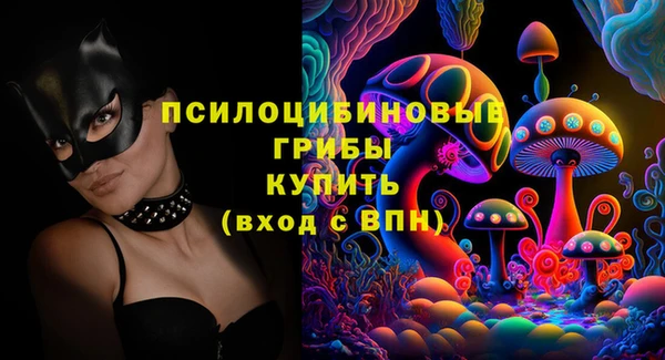 индика Алексеевка