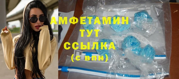 индика Алексеевка