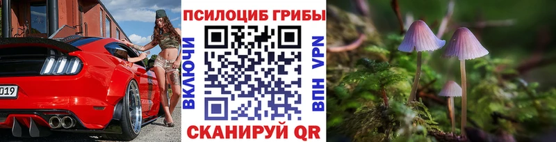 купить наркоту  Отрадная  Галлюциногенные грибы ЛСД 